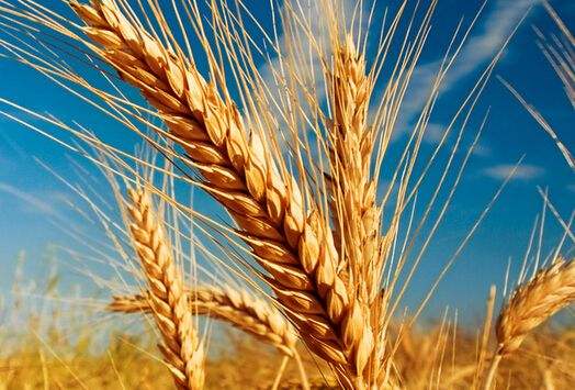 technological innovation